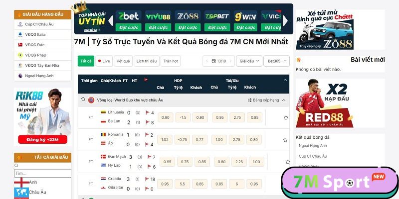 Giấy phép hoạt động của 7M