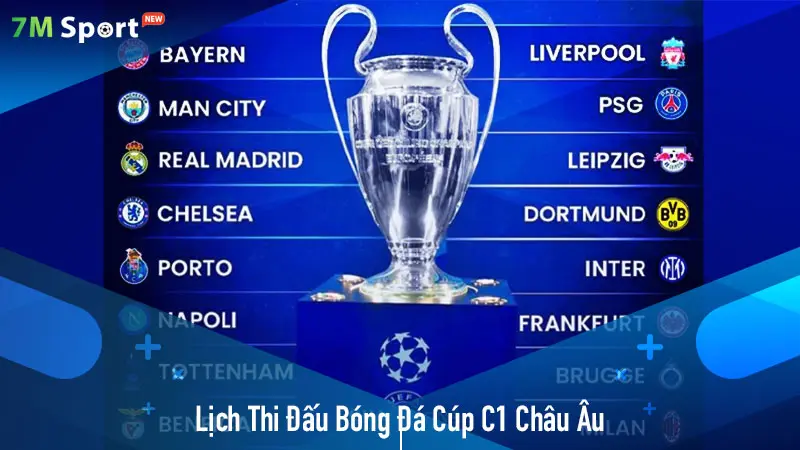 Cập Nhật Lịch Thi Đấu Bóng Đá Chi Tiết Tại 7mvn.in.net